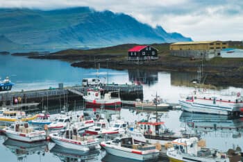 Le guide des fjords de l'est en Islande