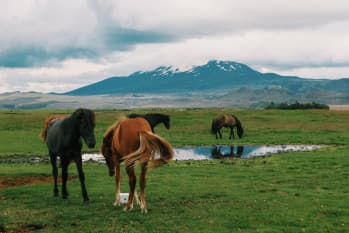 Le volcan Hekla